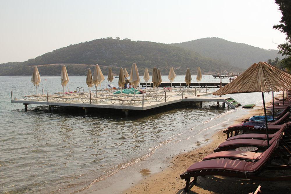 Golkoy