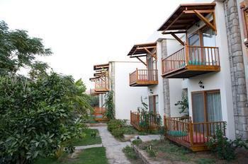Golkoy