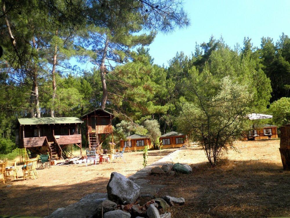 Olympos Woods - Adults Only Hotel
