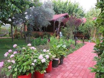 Guest house Caretta Caretta 3*