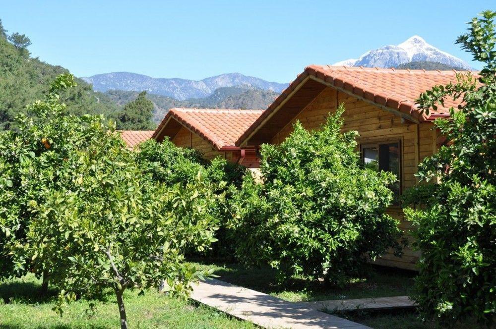 Villa Azra Cirali