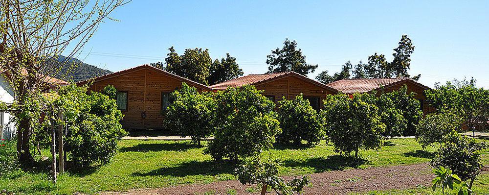 Villa Azra Cirali