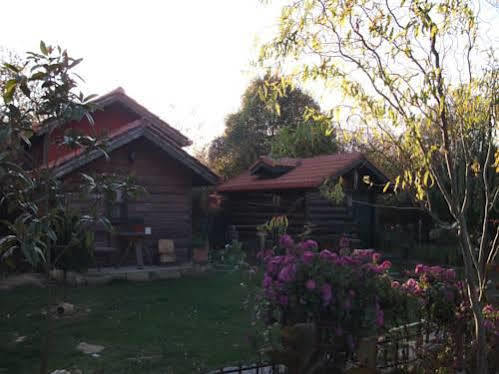Motel Tartaruga 2*