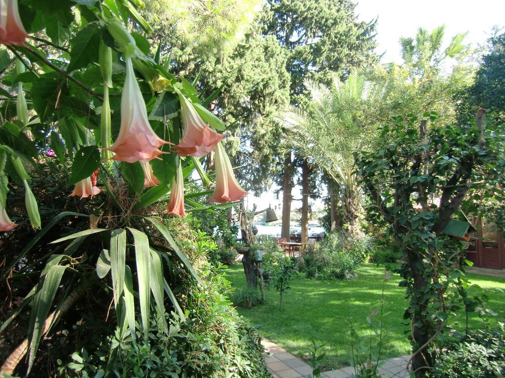 Happy Caretta Guest house