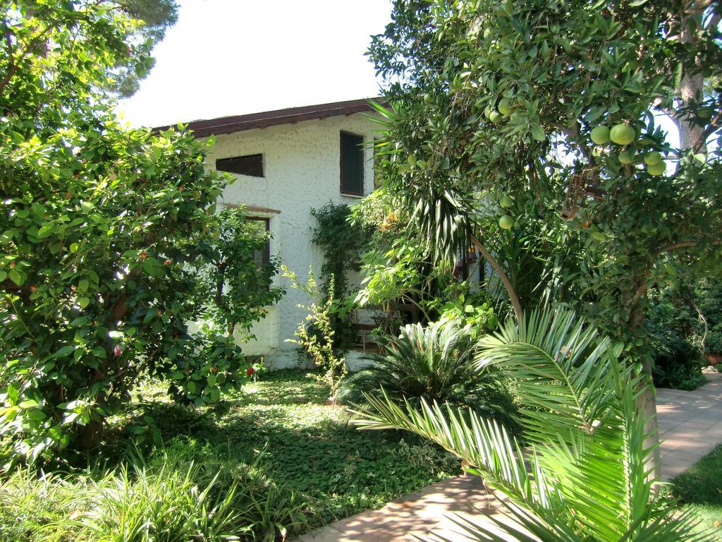 Guest house Happy Caretta Dalyan
