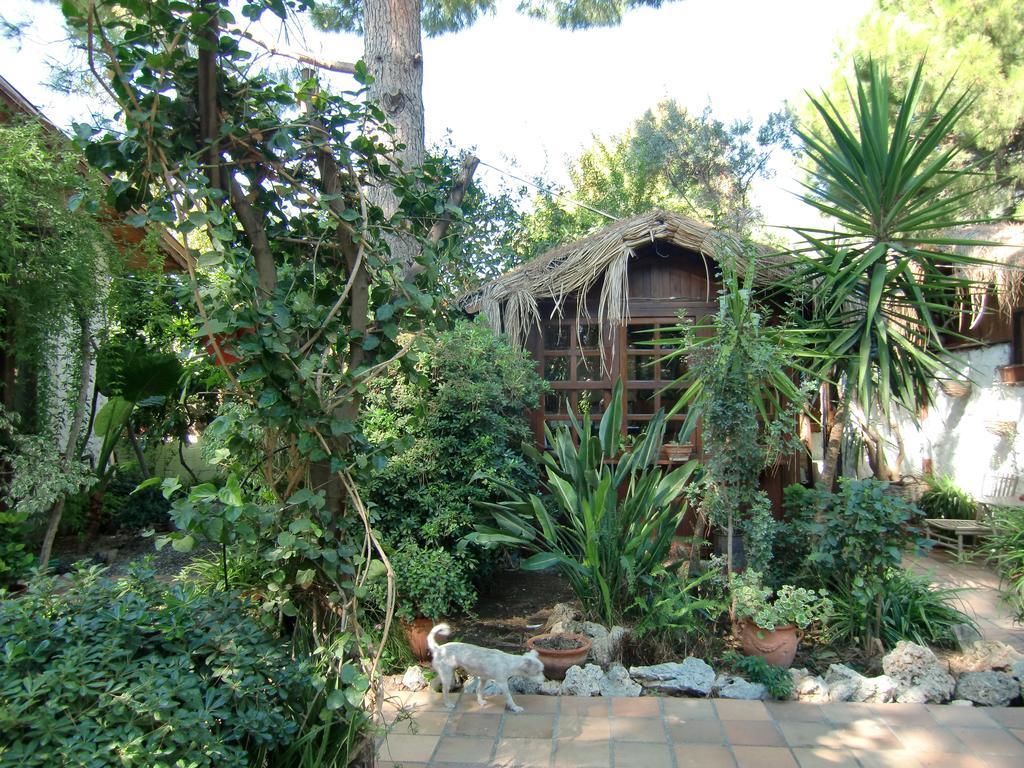 Happy Caretta Guest house