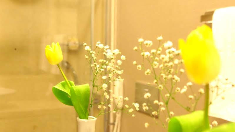 Demir Hotel 4*