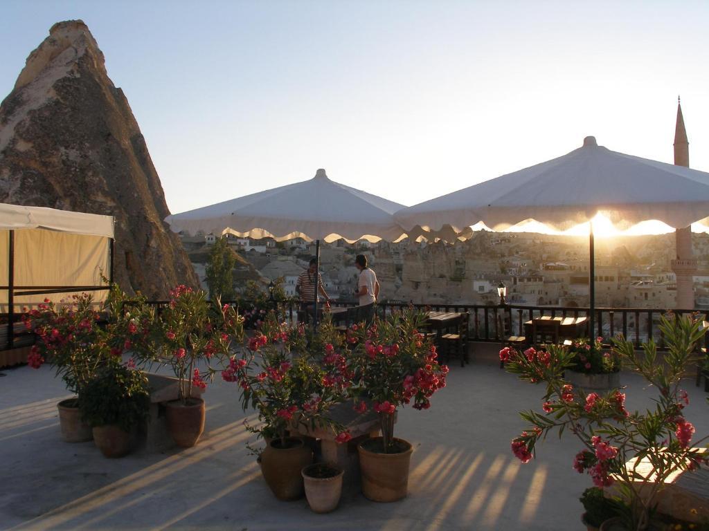 Hotel Arch 2*