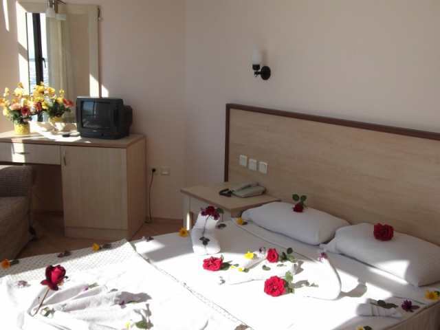 Park Hotel 3*