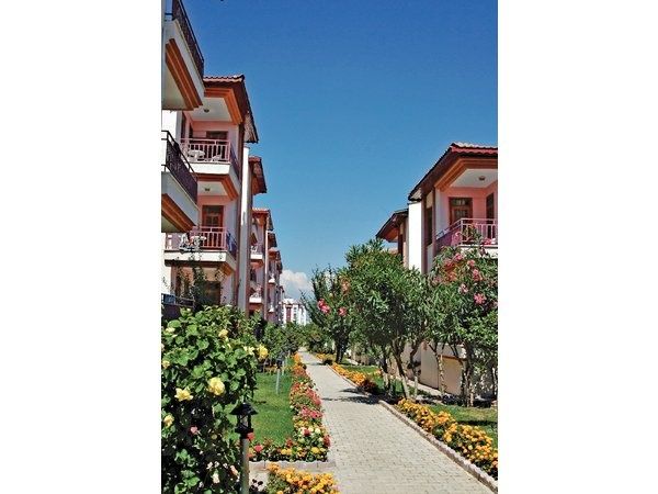 Sunlight Garden Side