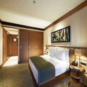 Divan Hotel 5*