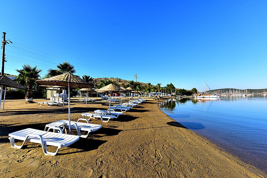 Tropicana 3* Gumbet