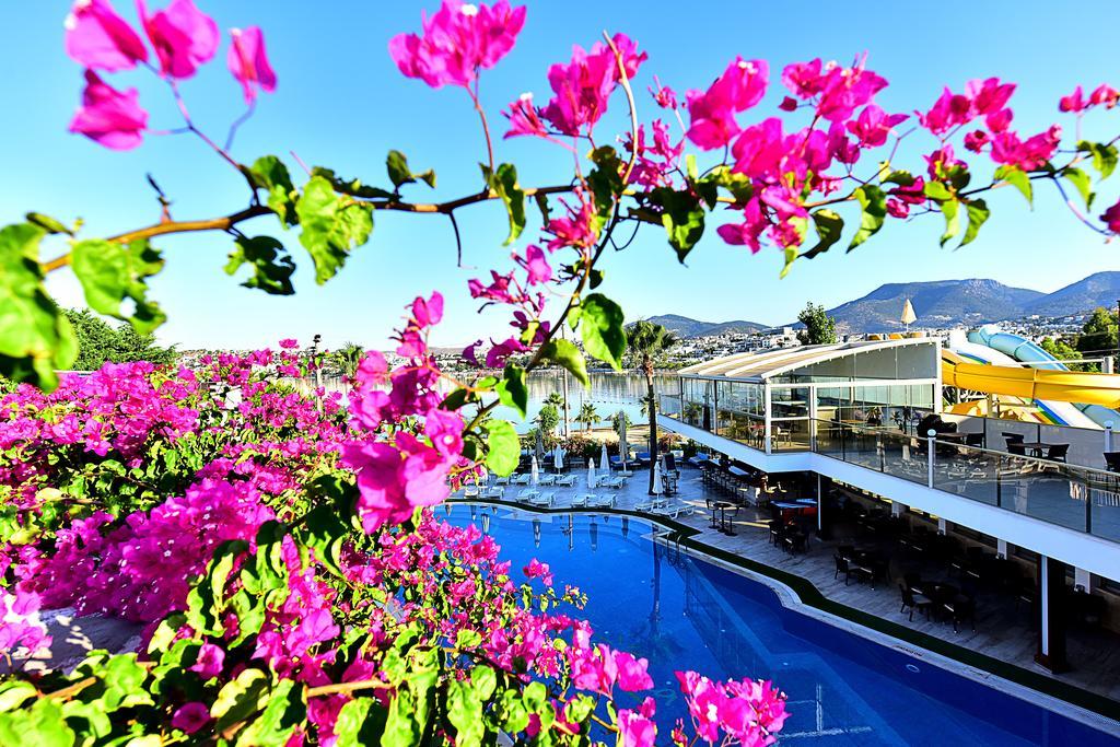 Hotel Tropicana 3*