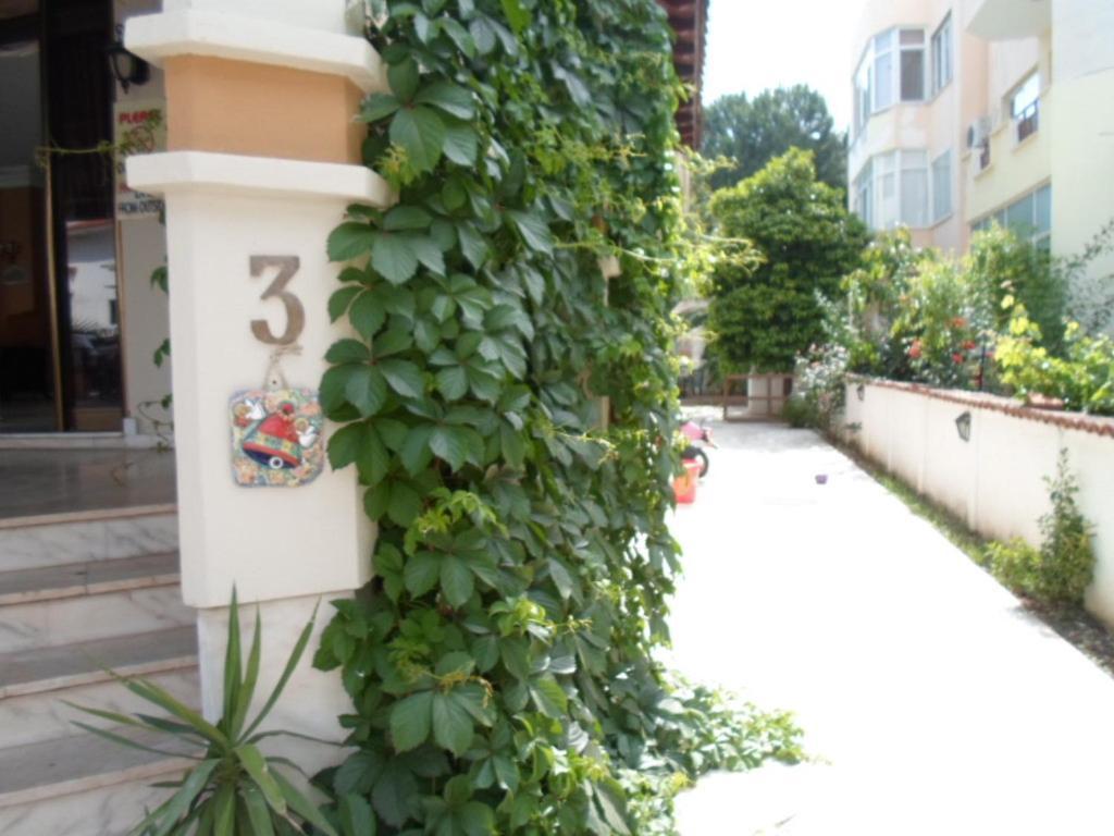 Hani Hotel 2*