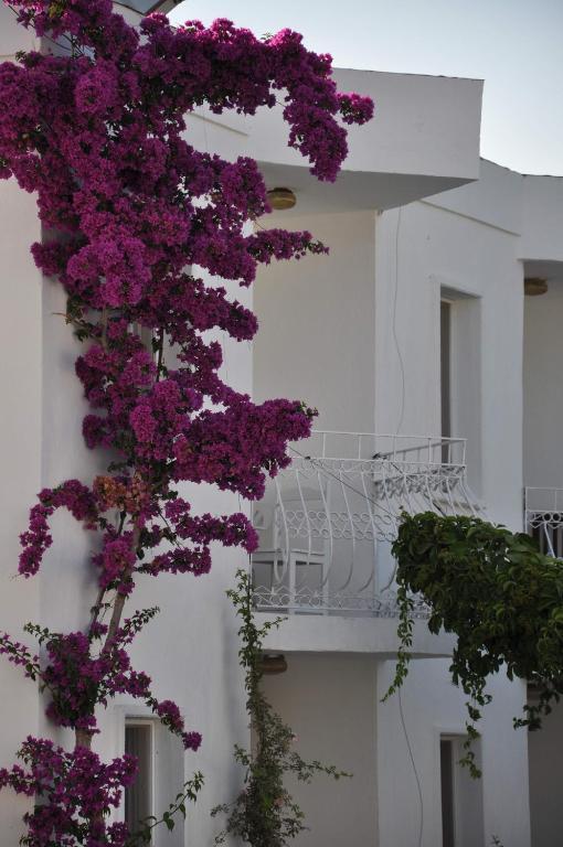 Hotel Ilgin *