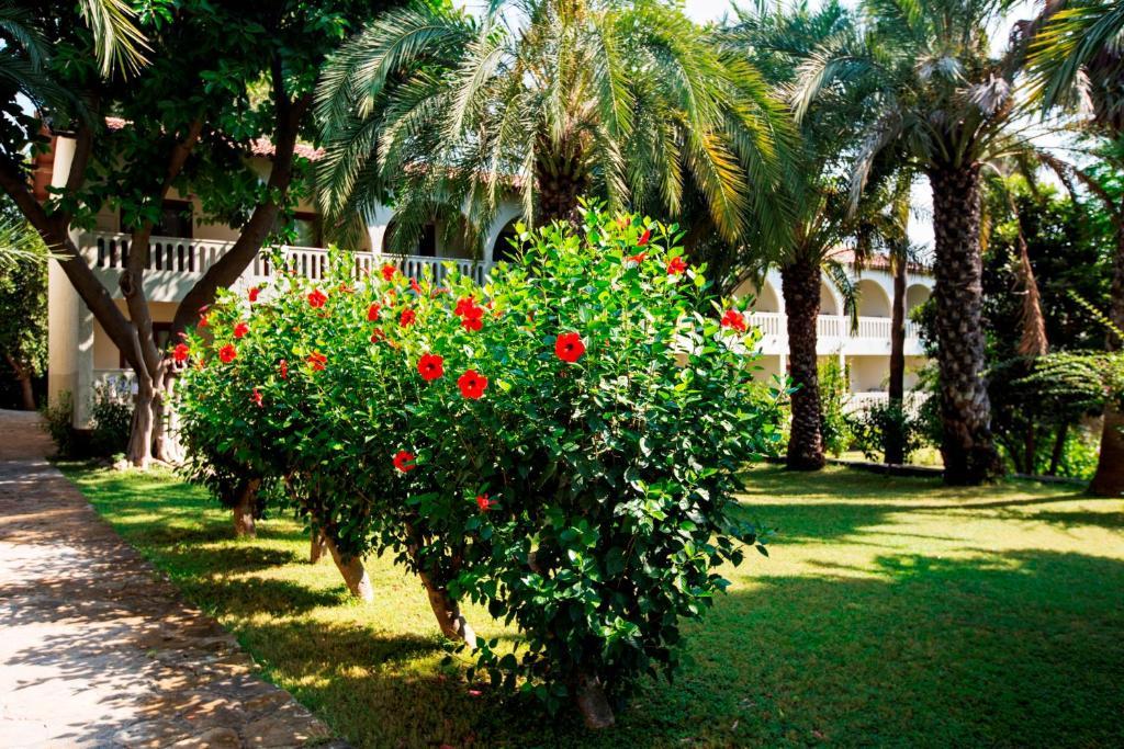 Miarosa Incekum Alanya