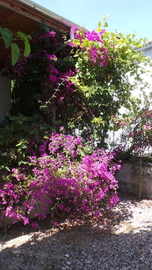 Mulberry House * Dalyan