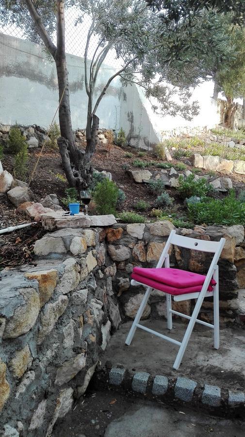 Olivia Village Holiday home *