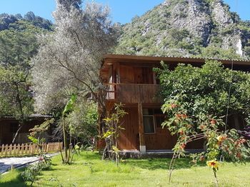 Holiday park Turkmen Tree Olympos