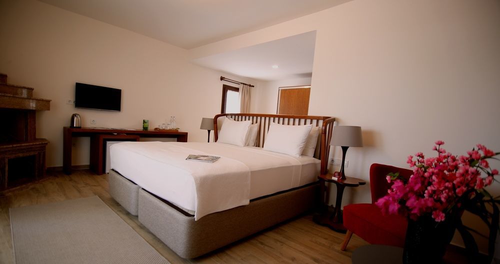 Hotel The Lifeco Bodrum Well-Being Detox Center And Vegan Hotel (Adults Only) Golturkbuku