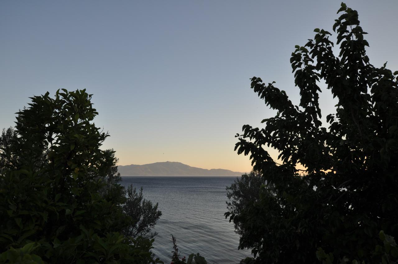 Terrace Guest house 2*