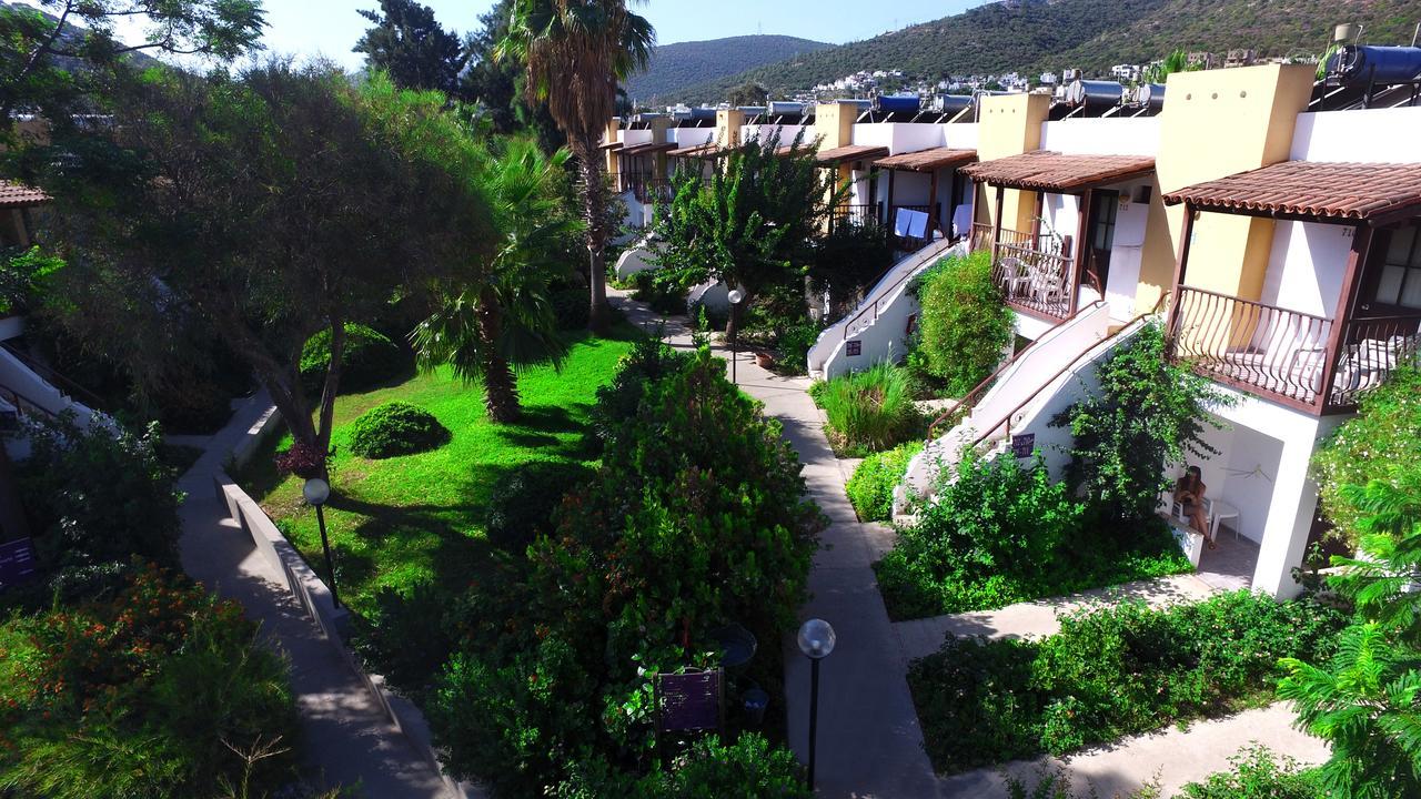 Izer Club Resort Torba