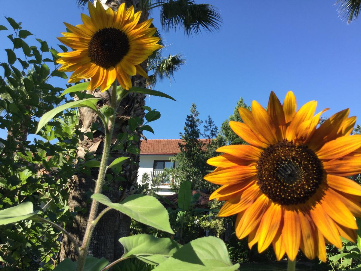 Garden Bed & Breakfast Dalyan