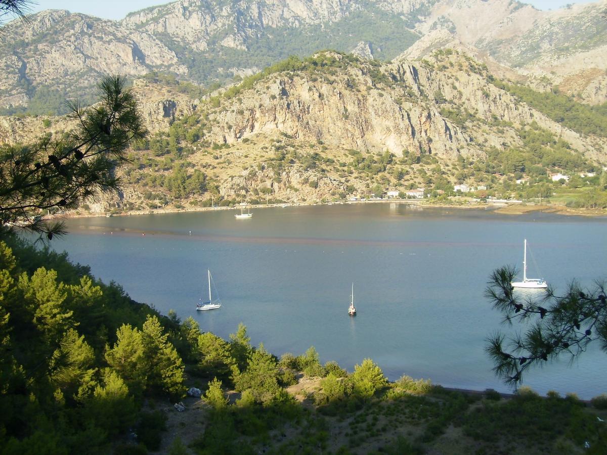 Erol *