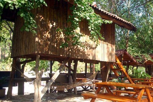 Holiday park Turkmen Tree