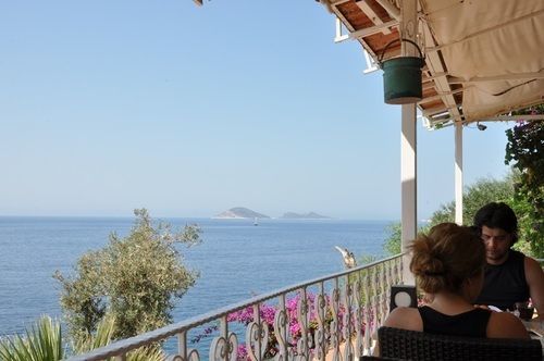 Caretta Kalkan