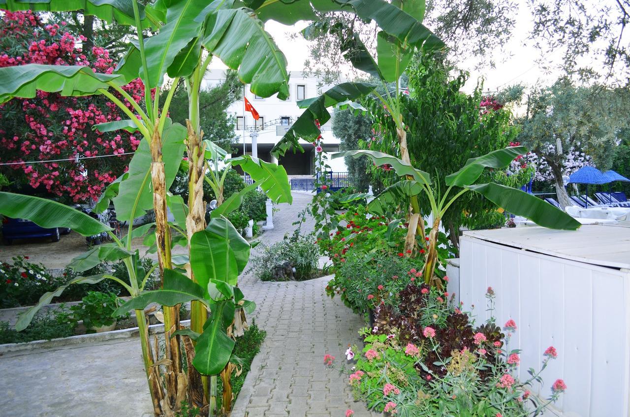 Ali Baba Hotel