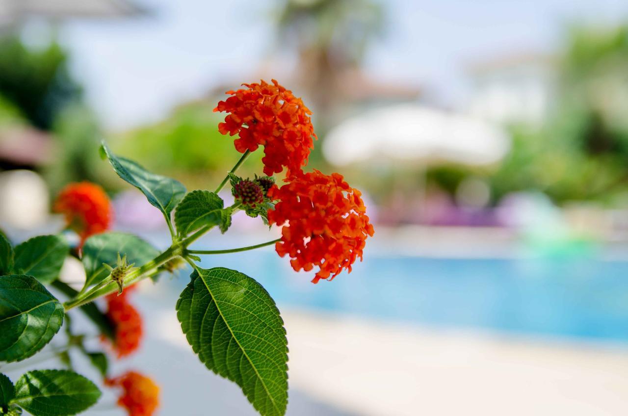 Calbis Hotel Dalyan