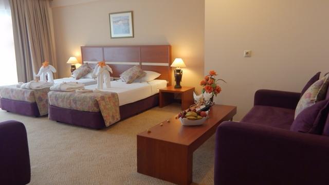 Hotel Timo *