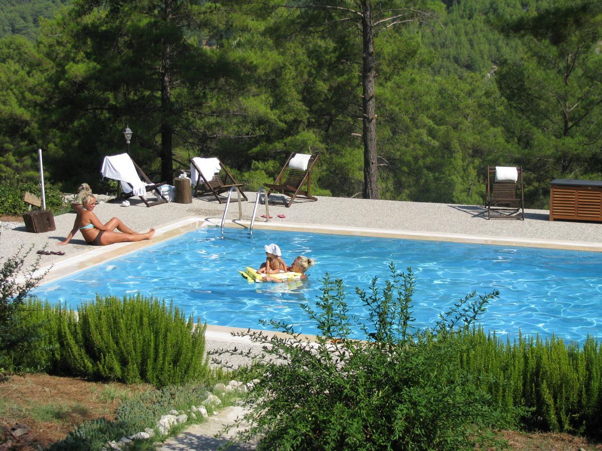 Dikencik * Uzumlu (Aegean)