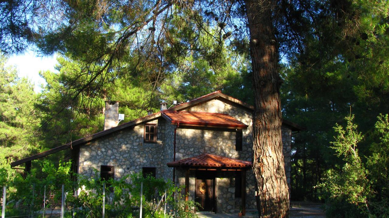 Dikencik Country house Uzumlu (Aegean)