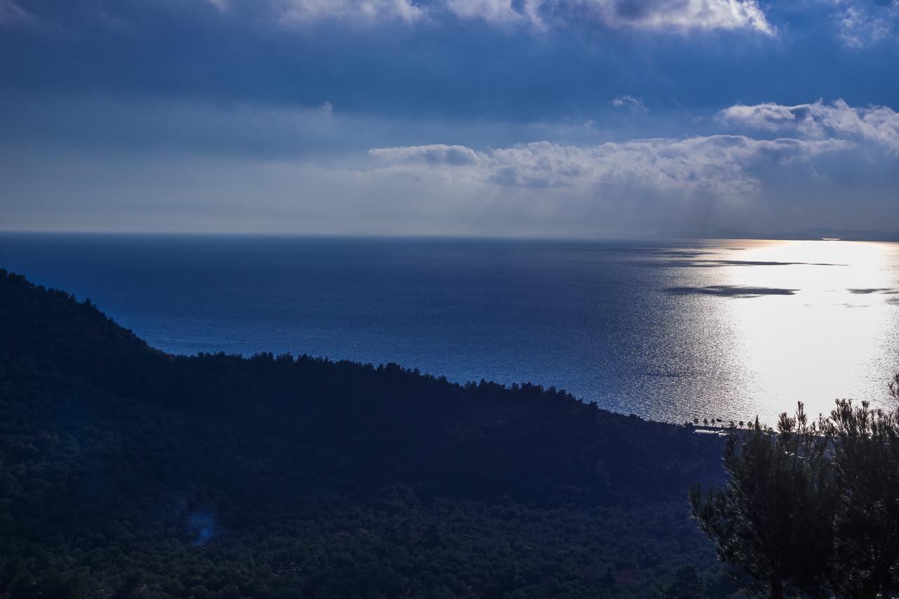 Assos Kartal Yuvasi Guest house