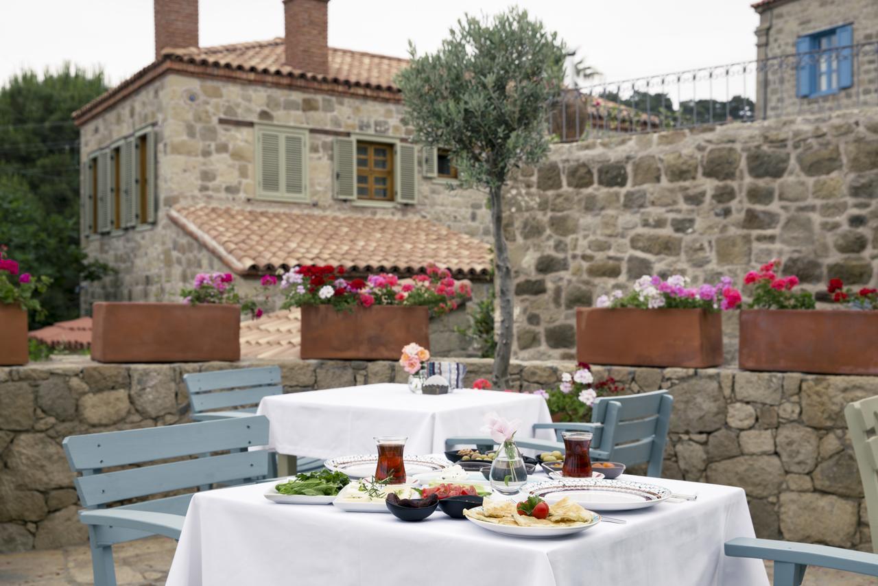 Ida Blue Adatepe (adults Only)