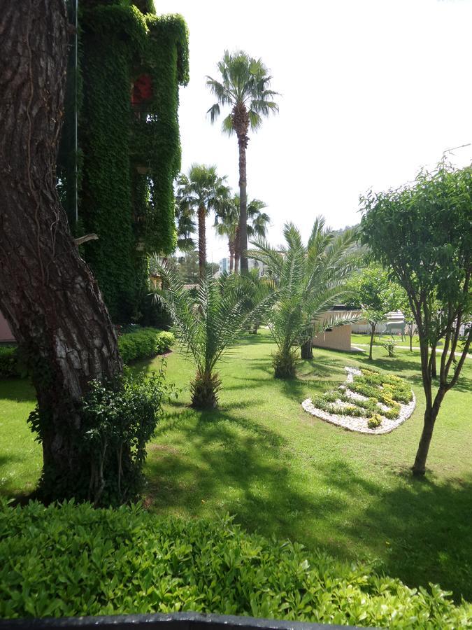 Hotel Seagull Beldibi (Kemer)