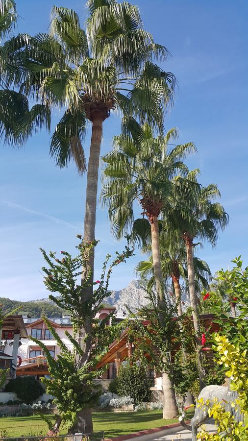 Seagull Beldibi (Kemer)