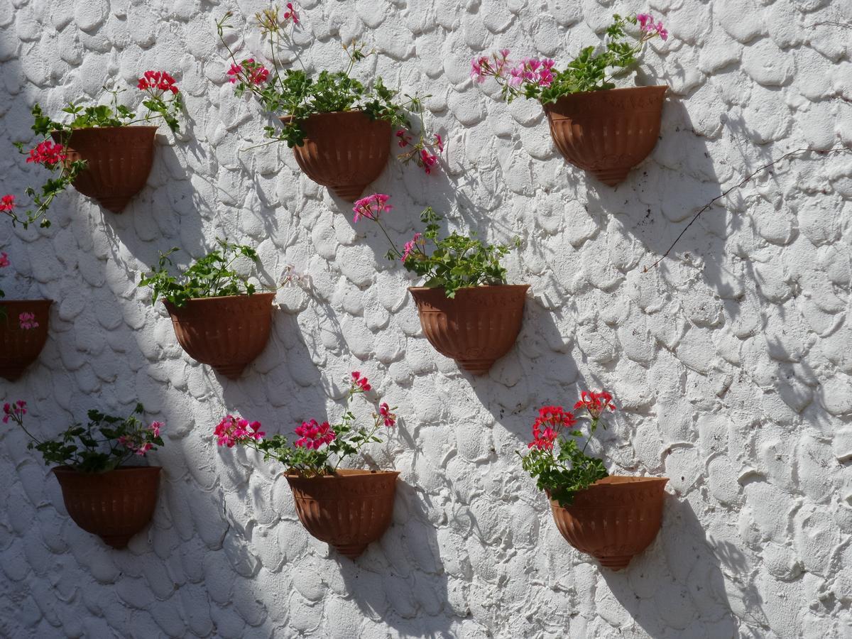 Hotel Seagull Beldibi (Kemer)