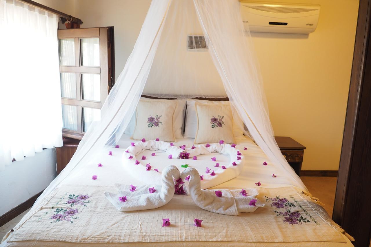 Hotel Loca 5*