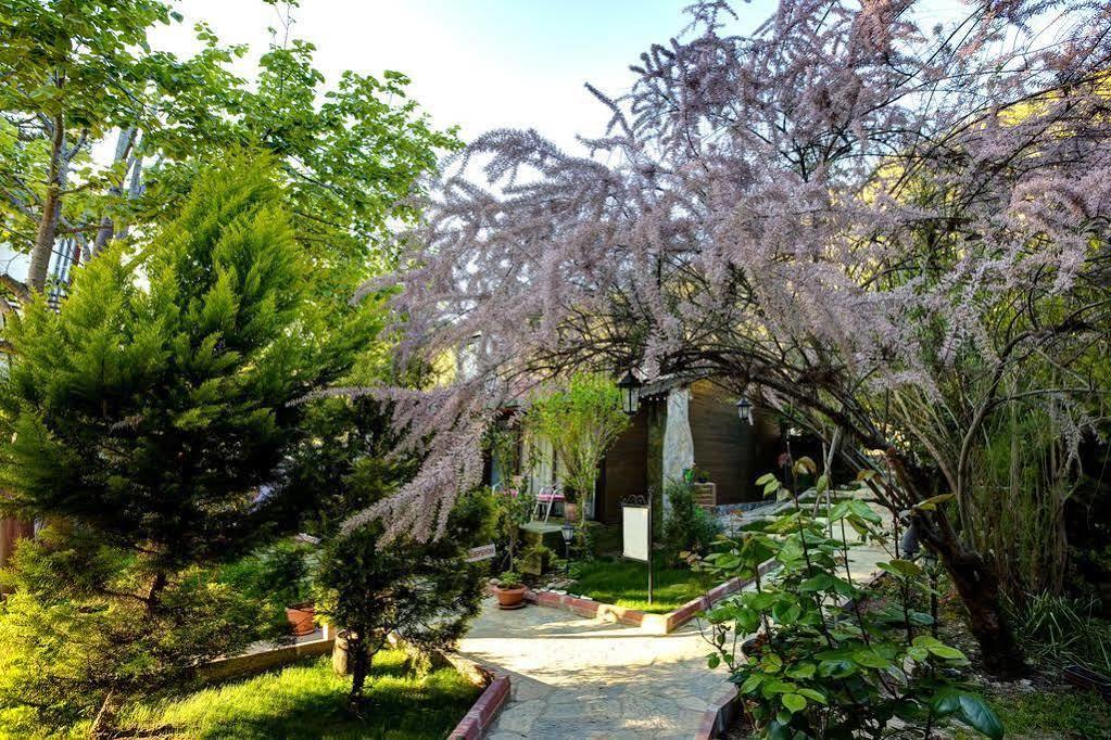 Hotel Park Mandalin - Adult Only