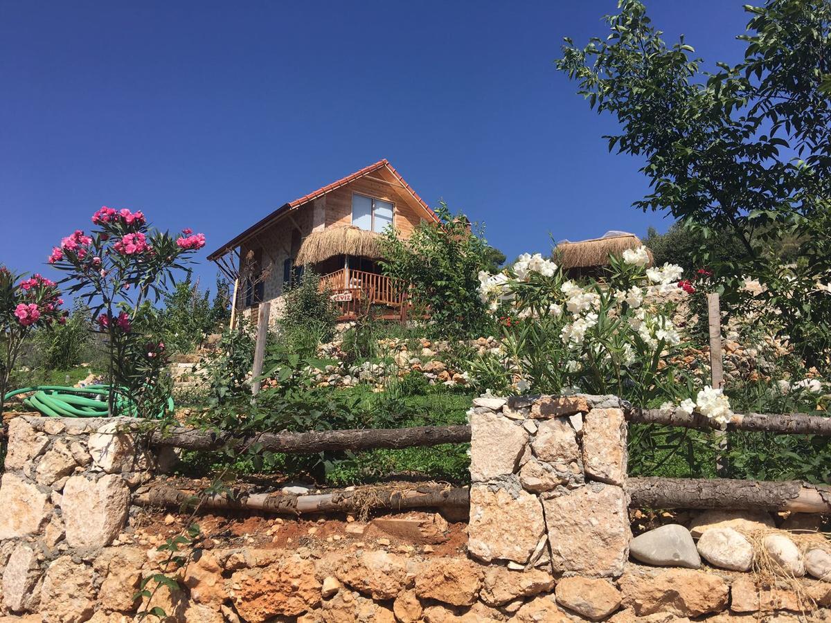 Ambar Evleri