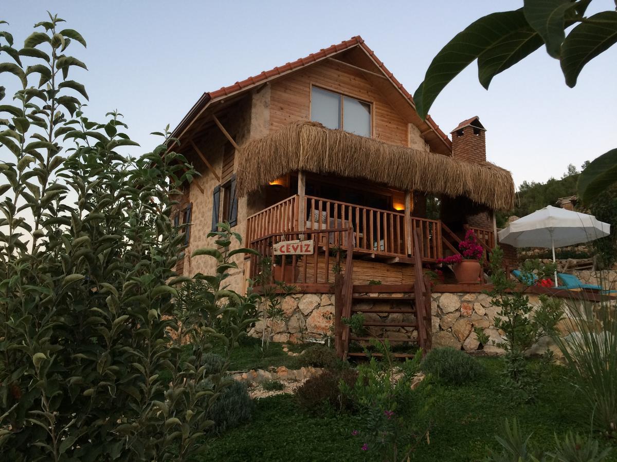 Ambar Evleri Kalkan