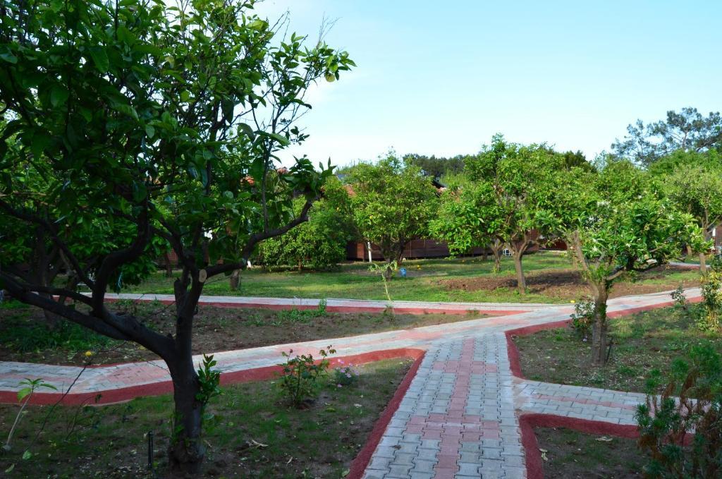 Baris & Holiday park Cirali