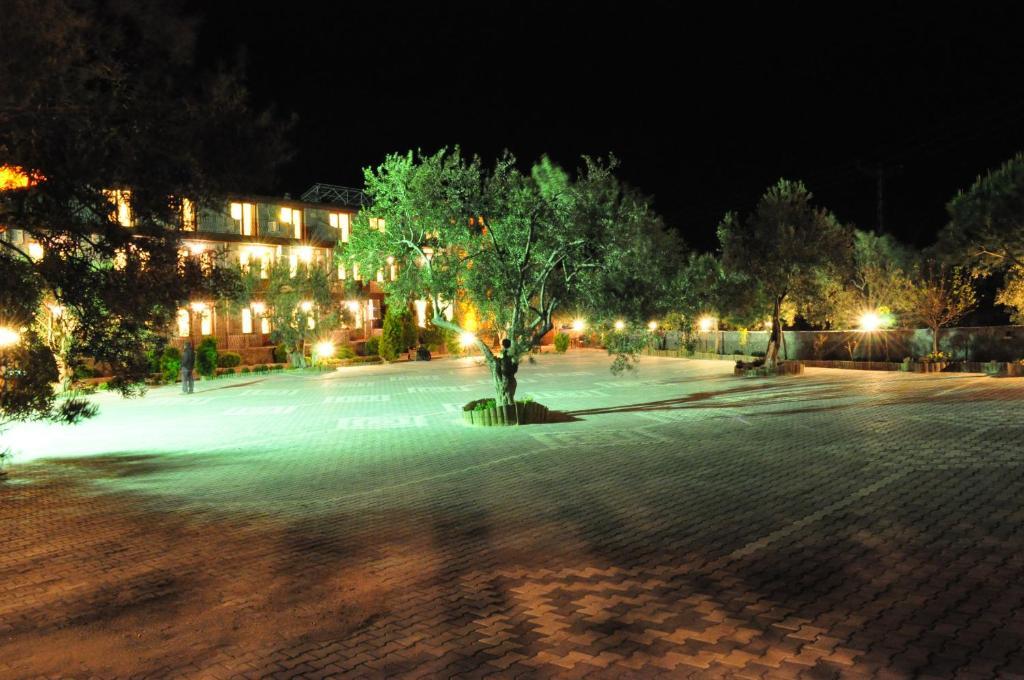 Hotel Park