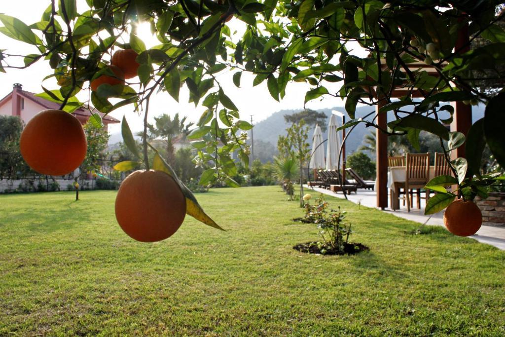 Gocek Arion 3* Gocek (Fethiye)