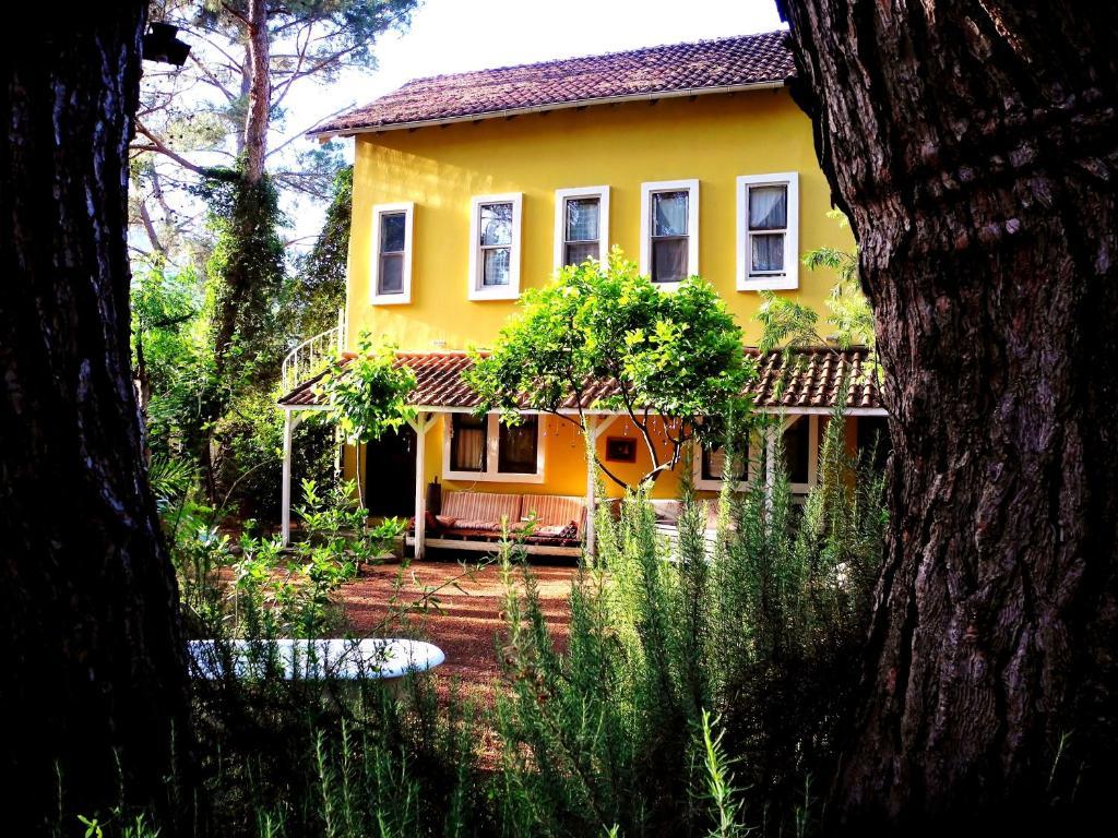 Daphne House 2* Olympos