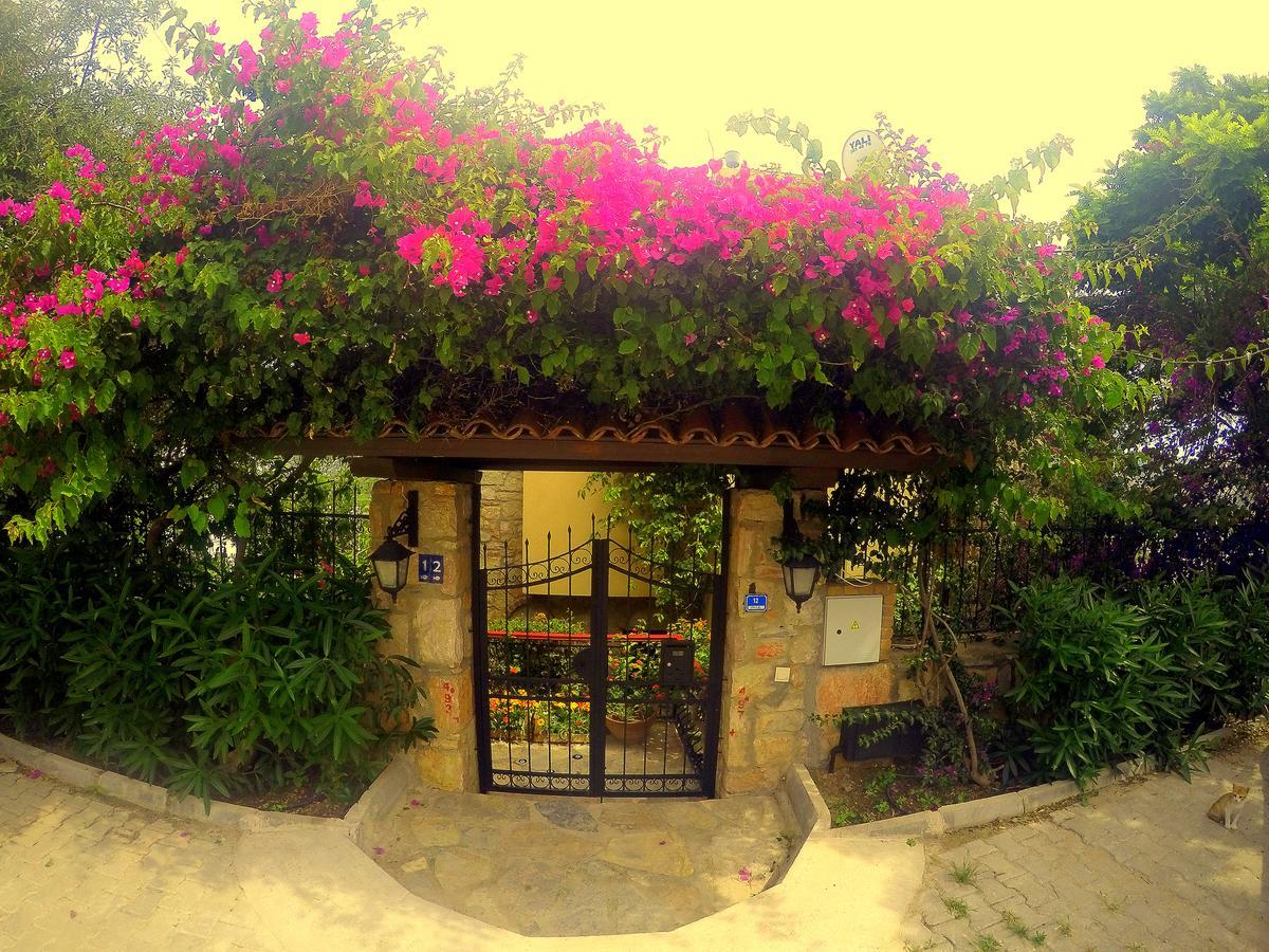 Bed & Breakfast Cosy Yalikavak