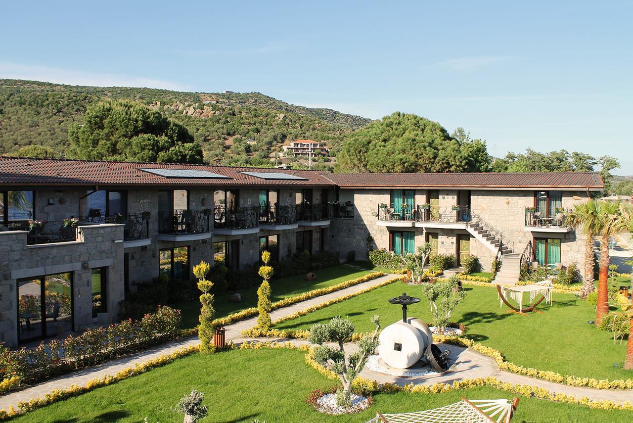 Assos Zeyti̇n Special Class Adults Only 12